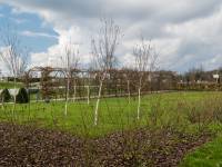 Geonatura Kielce - Ogród Botaniczny