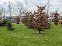 Geonatura Kielce - Ogród Botaniczny