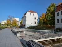 Międzywodzie na Wyspie Młyńskiej