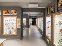 Muzeum Minerałów i Skamieniałości