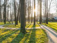 Park Miejski w Myślenicach