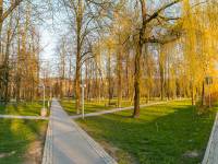 Park Miejski w Myślenicach