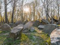 Pumptrack w Myślenicach 