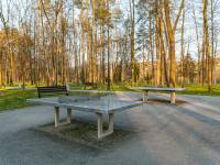 Park Miejski w Myślenicach
