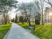 Park Miejski w Myślenicach