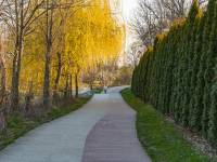 Ścieżka rowerowo-biegowa w Myślenicach