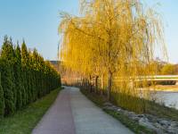 Ścieżka rowerowo-biegowa w Myślenicach