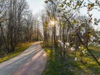 Ścieżka rowerowo-biegowa w Myślenicach