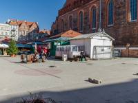 Piwnica Romańska - oddział Muzeum Archeologicznego w Gdańsku