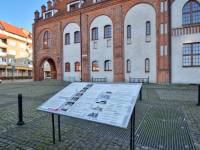 Ratusz w Kamieniu Pomorskim