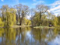 Park Książąt Pomorskich