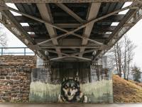 Murale w Komańczy - Projekt Cichy Memoriał