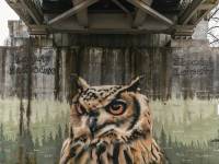 Murale w Komańczy - Projekt Cichy Memoriał