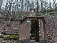 Złota Studzienka św. Jana z Dukli