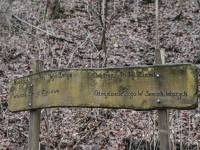 Złota Studzienka św. Jana z Dukli