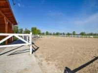 Stadnina Koni Ochaby