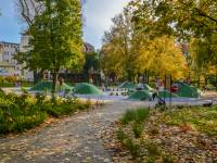 Park Ludowy im. Wincentego Witosa