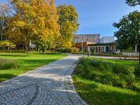 Park Ludowy im. Wincentego Witosa