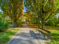 Park im. Jana Kochanowskiego