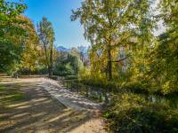 Park Kazimierza Wielkiego