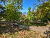 Park Kazimierza Wielkiego