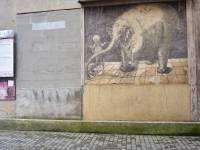 Sgraffito Słoń w Trzebiatowie