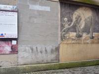 Sgraffito Słoń w Trzebiatowie