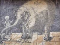 Sgraffito Słoń w Trzebiatowie