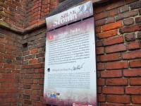 Szlak Słonia w Trzebiatowie