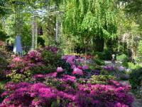 Ogrody Tematyczne Hortulus