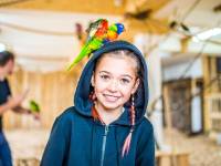 Papugarnia Egzotyczne Zakopane 