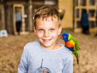 Papugarnia Egzotyczne Zakopane 