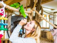 Papugarnia Egzotyczne Zakopane 