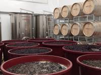 Zwiedzanie Winnicy Mickiewicz