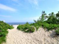 Plaża w Krynicy Morskiej