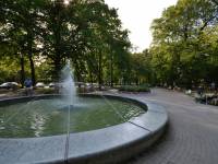 Zieleń Miejska w Kołobrzegu