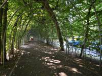 Zieleń Miejska w Kołobrzegu