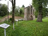 Ruiny cerkwi we wsi Płonna