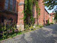 Kościół Najświętszej Marii Panny