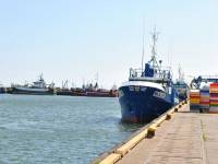 Port rybacki we Władysławowie