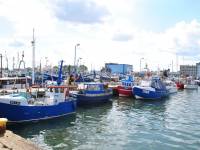 Port rybacki we Władysławowie