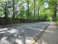 Bulwar Nadmorski we Władysławowie