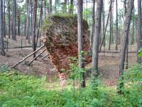 Ruiny kościoła św. Mikołaja