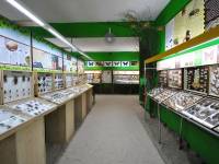 Prywatne Muzeum Motyli