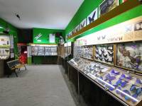 Prywatne Muzeum Motyli