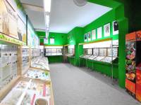 Prywatne Muzeum Motyli