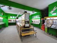 Prywatne Muzeum Motyli