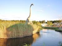 Park Dinozaurów Łeba Park