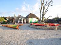 Park Dinozaurów Łeba Park