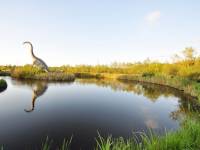 Park Dinozaurów Łeba Park